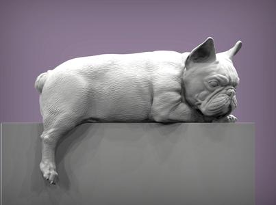 French Bulldog