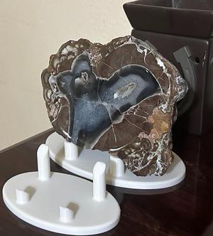 Rock or Mineral Specimen Display Stand – Oval