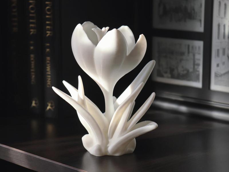 Crocus