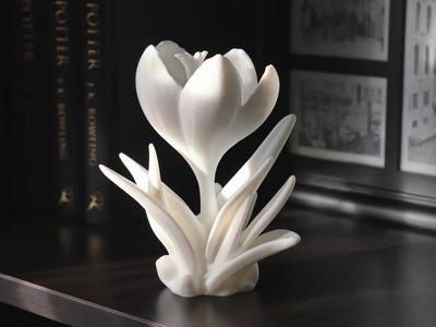 Crocus