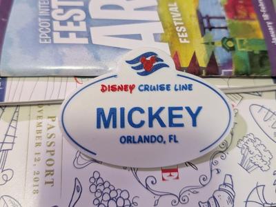 Custom – Disney Cruise Line name tag & pins