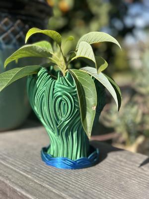 Woman’s Head Planter Vase With Drain Holes and Water Catch Tray SUPPORT FREE
