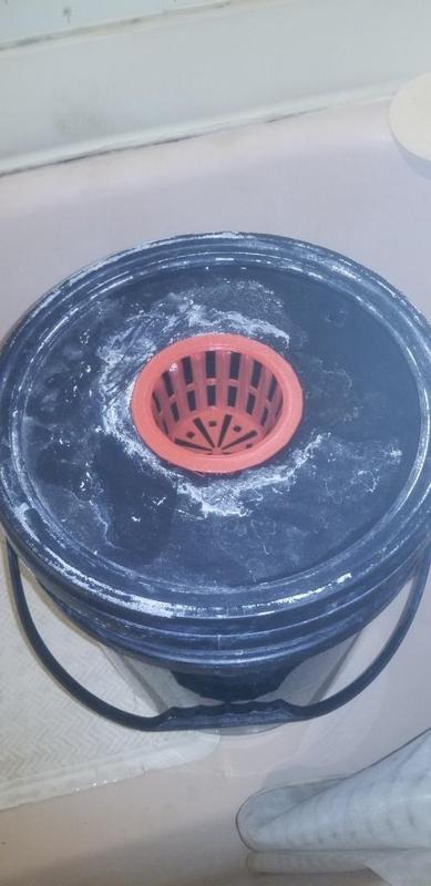 Hydroponic Planter Basket for DWC