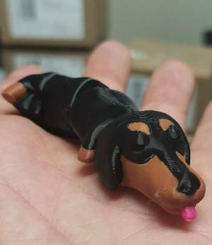 Dachshund (flexi-series)