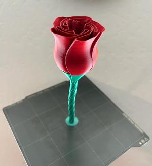 Complete Vase Rose Remix