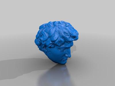 Michaelangelo’s David Bust bisected at a 45 for cleanest print