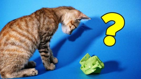 Print in Place – Pet-Puzzle / Cat-Toy / Food dispenser