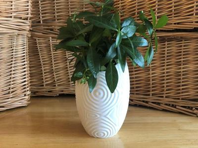 Ripple Vase (Ovoid)