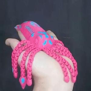 Flexi Squid