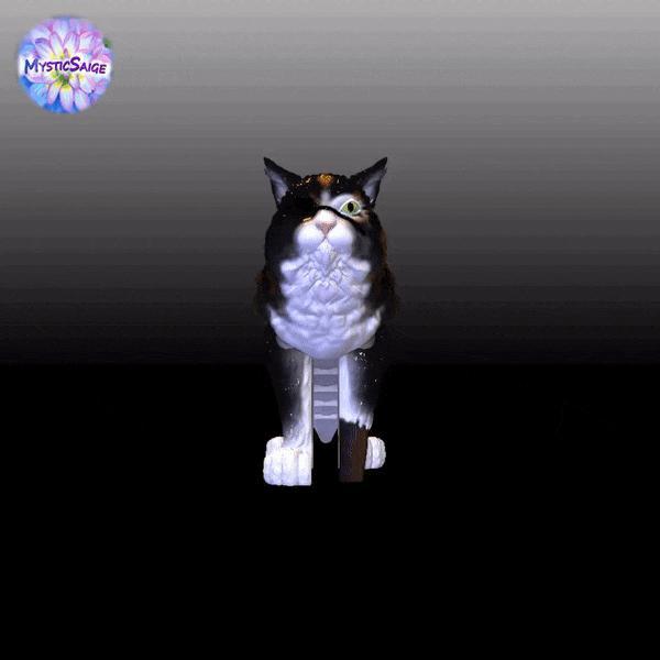Flexy Pirate Cat – Articulated Flexi Cat