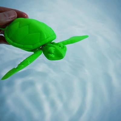 Cute Flexi Print-in-Place Turtle