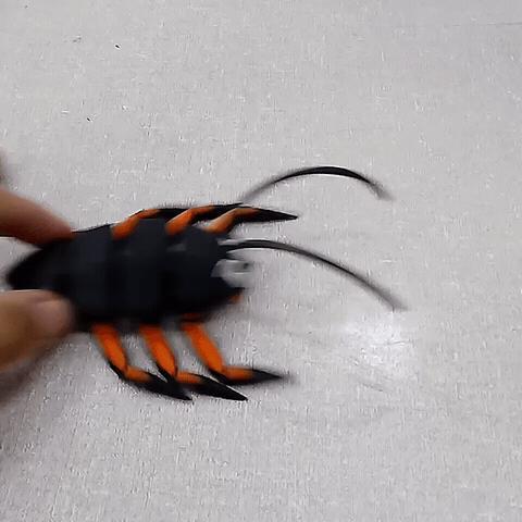flexi print  cockroach angry