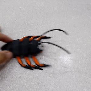 flexi print  cockroach angry