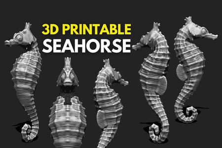 Seahorse - 3D Print - Aquarium