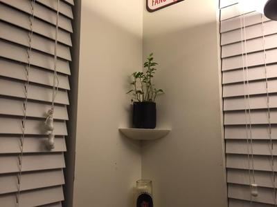 Corner Shelf