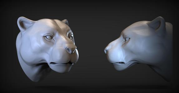 Puma head