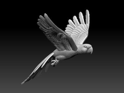 parrot flying in air