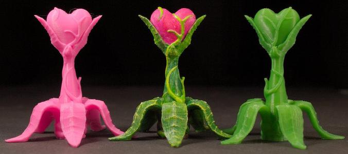 Tabletop plant: Valentine’s Day Plant 2019