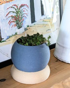 Self-Watering Ball