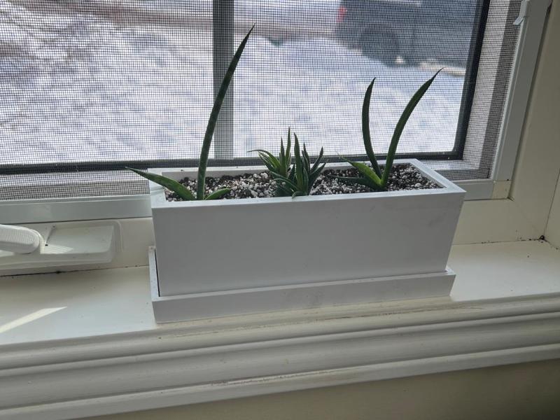 Window Sill Planter with Hidden Dividers