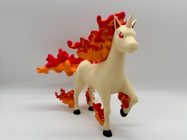 Rapidash Multicolor