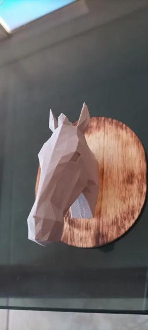 Horse head fuzzy skin