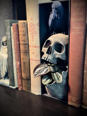 Skull and raven booknook planter.