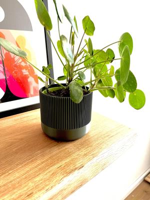 Basic Mid century modern planter