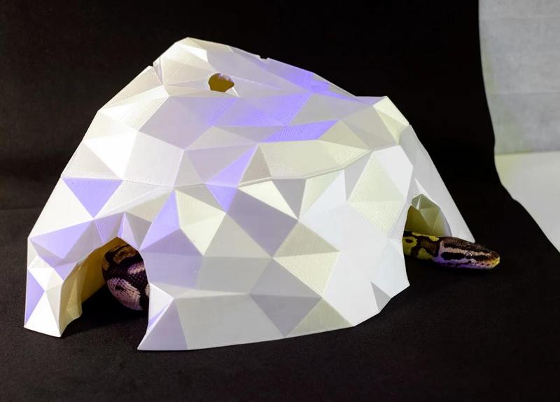 Reptiles Terrarium Hide LowPoly Rock Cave