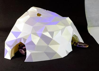 Reptiles Terrarium Hide LowPoly Rock Cave