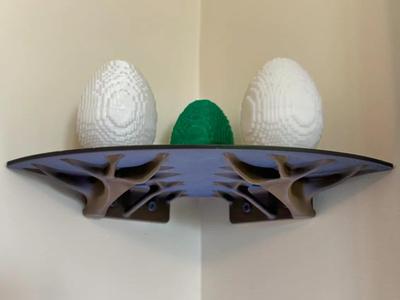 Rooted Shelf: Built for Real Corners   