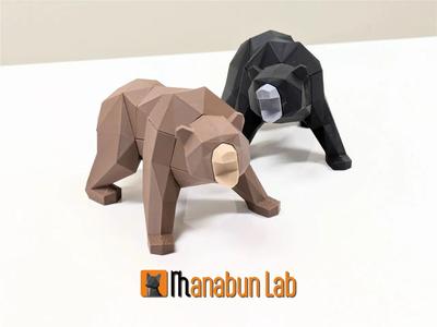Low Poly Bear Puzzle   