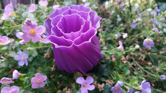Vase Flower
