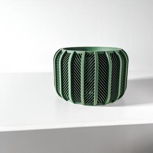 The Rodex Orchid Planter Pot with Drainage Tray | Modern and Unique Home Decor