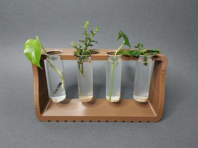 Elegant Plant Propagation Station