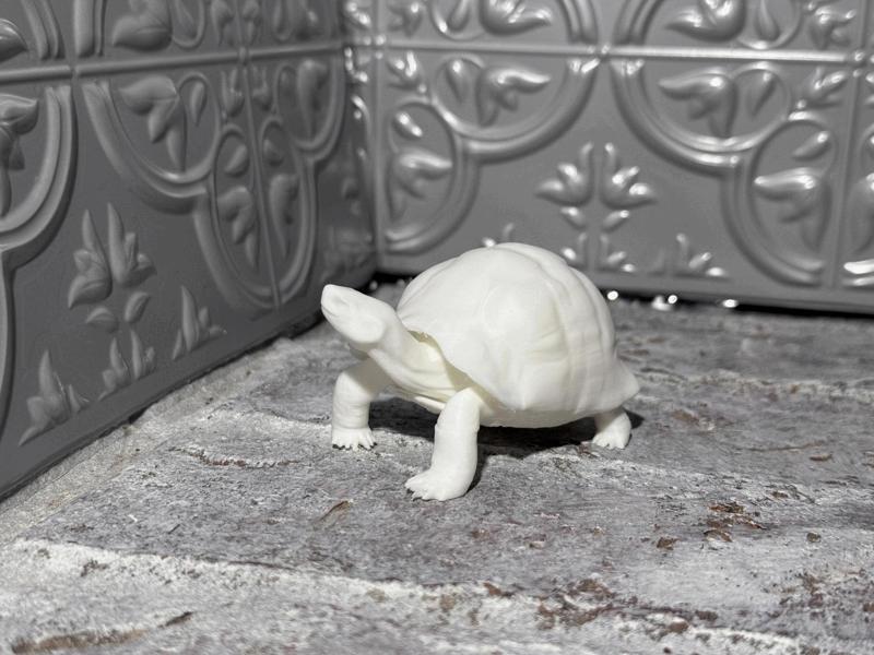 Realistic Turtle
