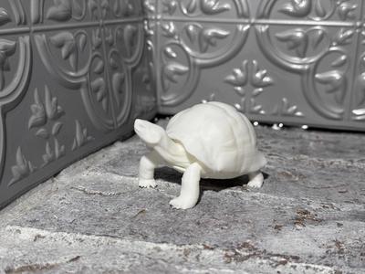 Realistic Turtle