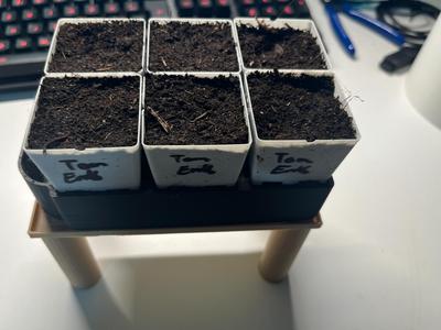 Self Watering Seed Starter