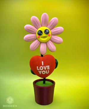 Valentine’s Daisy