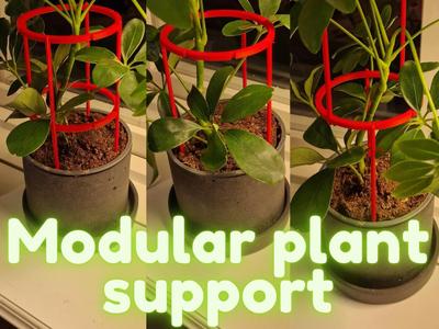 Modular Plant Support