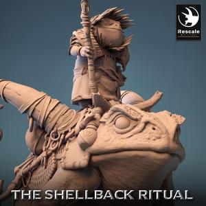 ShellBack Mount Master