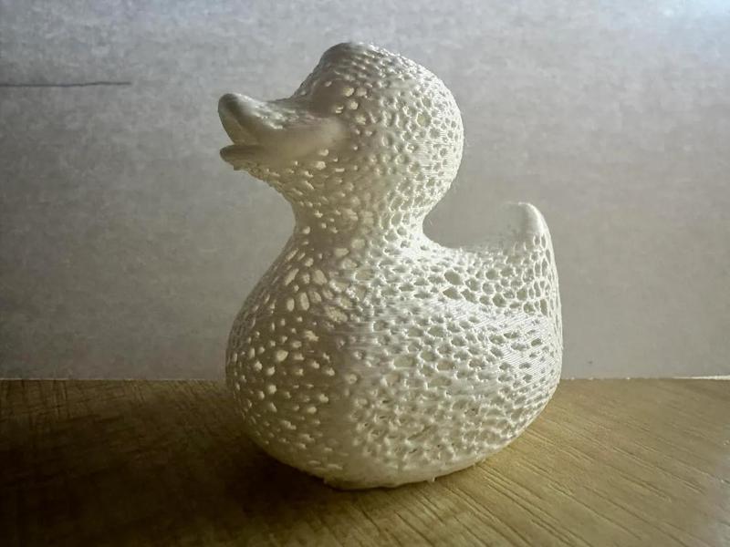 Voronoi Duck