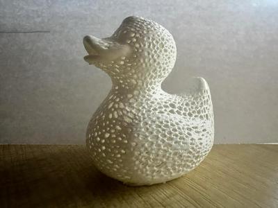 Voronoi Duck