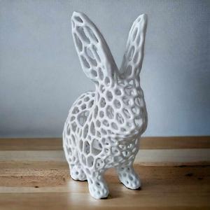 Voronoi Rabbit
