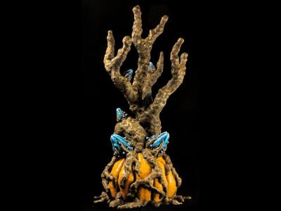 Tabletop plant: “Pumpkin Tree” (Alien Vegetation 50 / Halloween Plant)