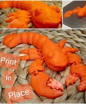 Articulated lobster