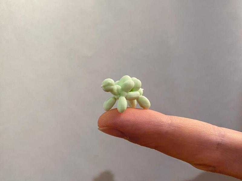 Mini Balloon Turtle