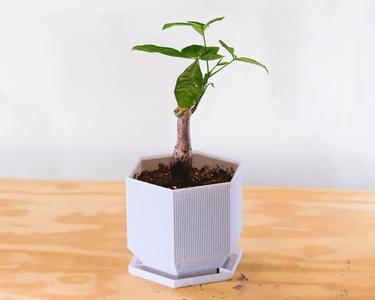 hexagonal planter v2 (vase mode)
