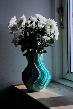 Vase V1