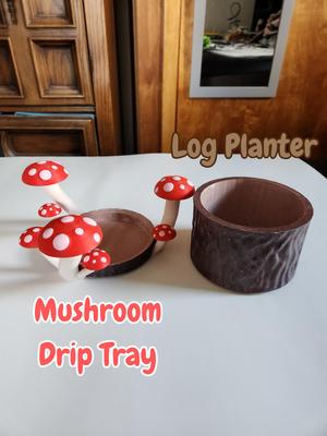 Mushroom Planter